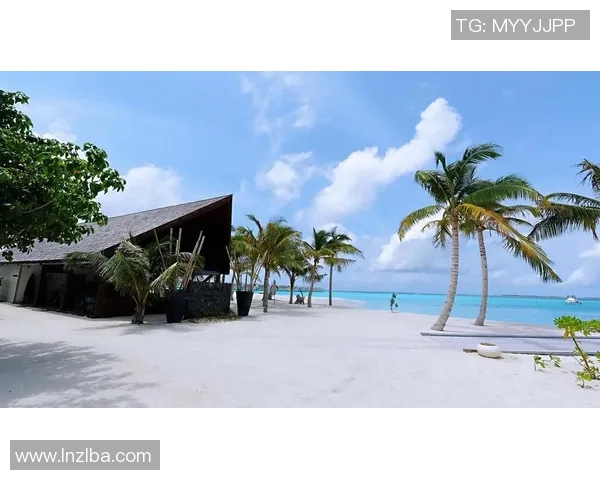 马尔代夫足球球星是谁？探索马尔代夫足球的传奇人物与未来希望